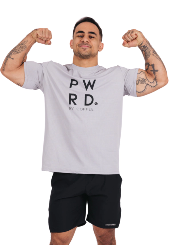 Camiseta Masculina Aerodry Cinza PWRD