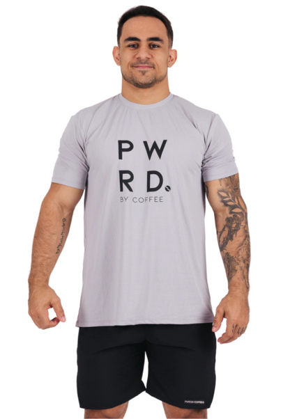 Camiseta Masculina Aerodry Cinza PWRD